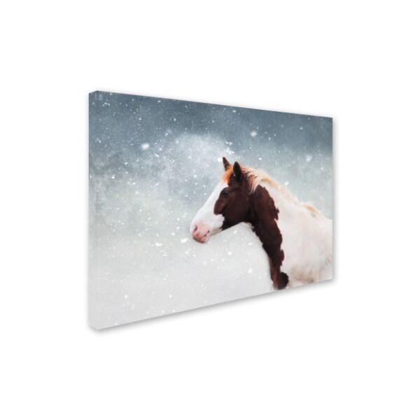 Jai Johnson 'Paint Horse In The Snow' Canvas Art,18x24